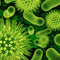 Biocide