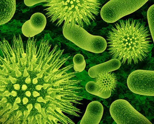 Biocide