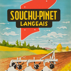 Collection image for: Piese Pluguri Souchu Pinet