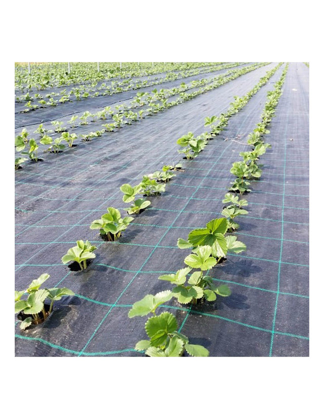 Agrotextil