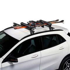 Collection image for: Suport schi auto