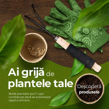 Fitofarmacie
