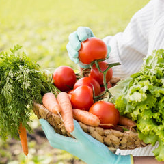 Collection image for: Legumicultură & Horticultură