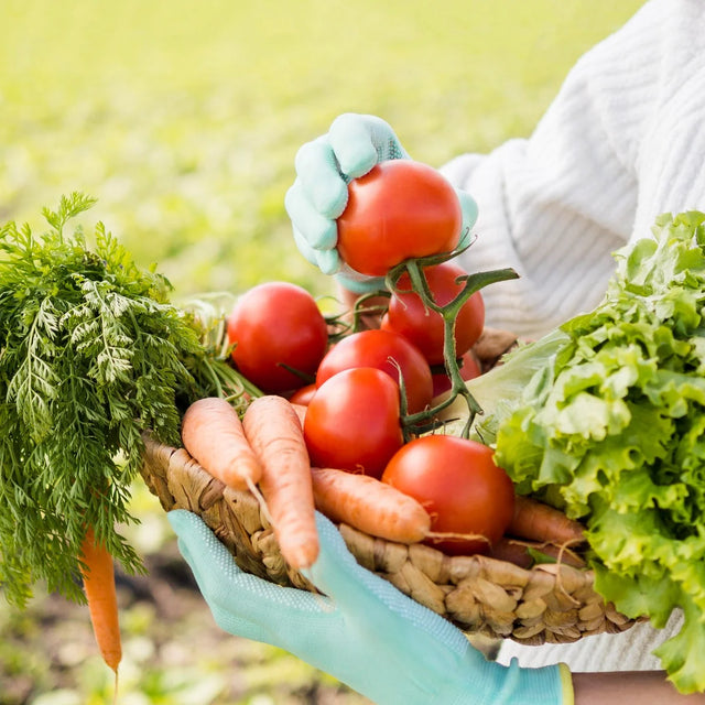 Legumicultură & Horticultură