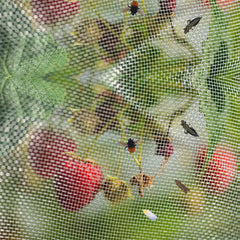 Collection image for: Plase Anti-Insecte